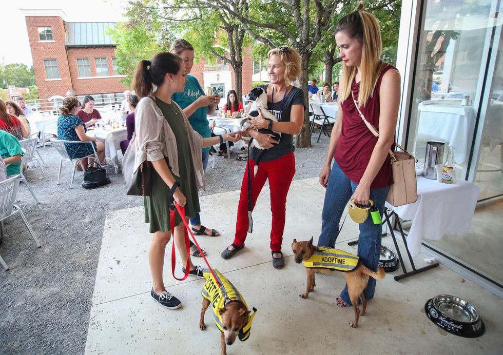 VL-EVENTS-Pooches-on-the-Patio.jpg