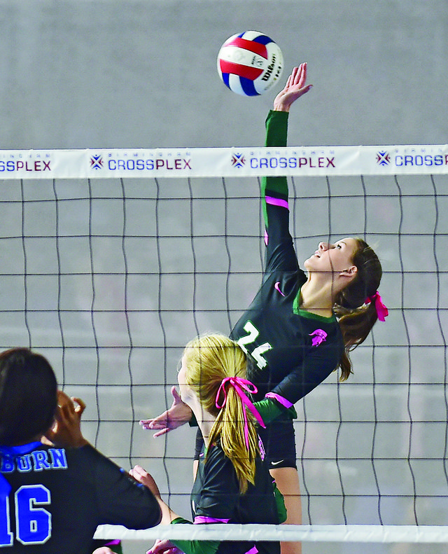 VL B COVER All-South Metro volleyball 1.jpg