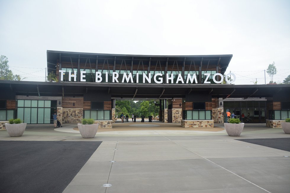 VL COMM BRIEF Birmingham Zoo to donate $10,000 to aid in Australian bushfire crisis.jpg