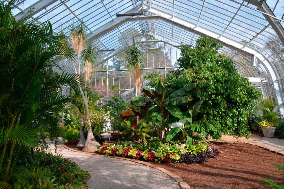 Botanical Gardens Conservatory Reopening