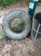 Tire-from-creek_photo-courtesy-of-Durham-Ellis.jpg