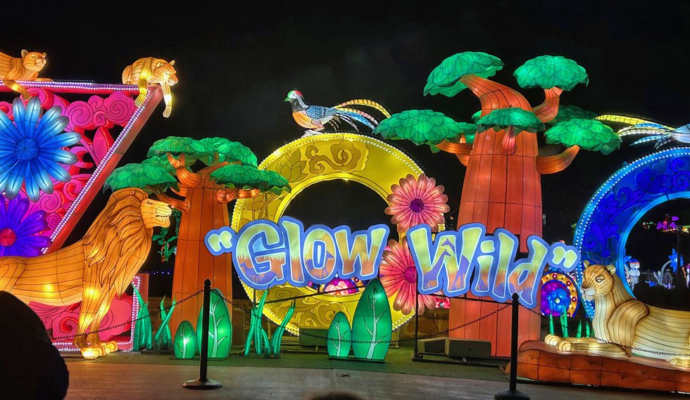 VL-EVENTS-Glow-Wild-at-Zoo.jpg