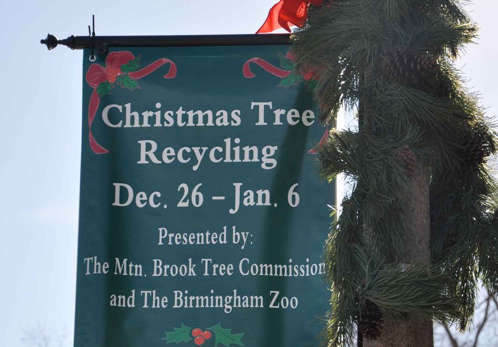 1212 Tree recycling