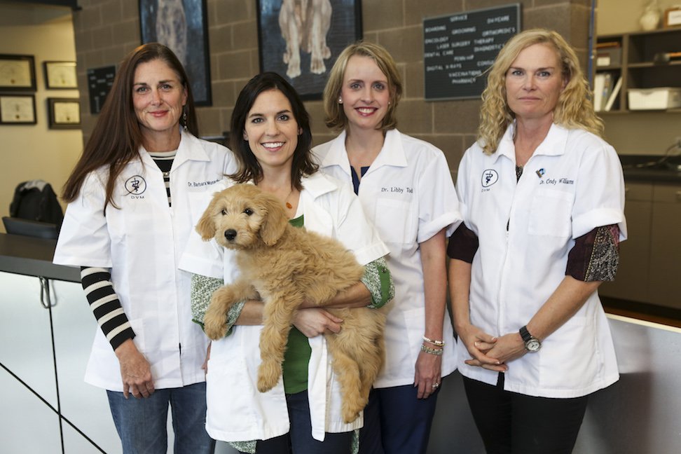 Women in Business: Barbara Monaghan, Kristin Leedy, Libby Todd, Cindy  Williams - Village Pet Care/Liberty Animal Hospital -  